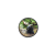 magnit_givotnie_4 magnit_givotnie_4