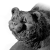 medvedica_3 medvedica_3